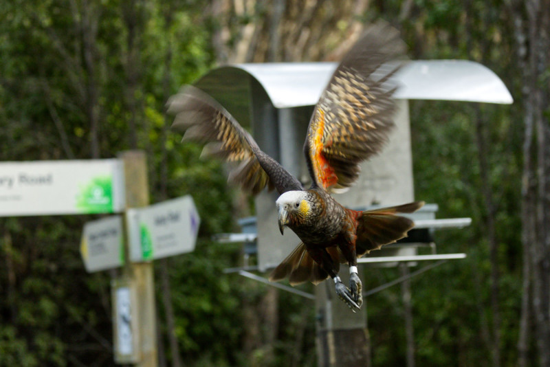 R1 12348
